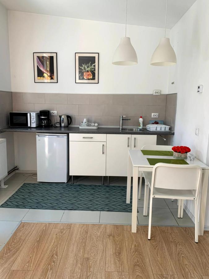 ホテル Casa Petri Sînpetru エクステリア 写真