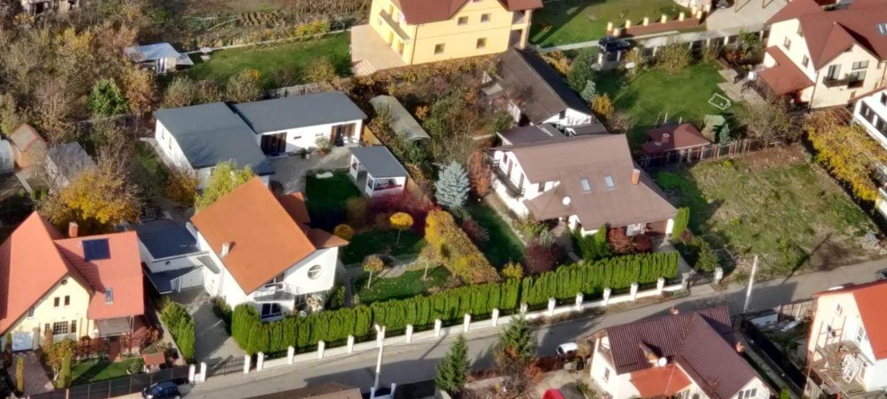 ホテル Casa Petri Sînpetru エクステリア 写真